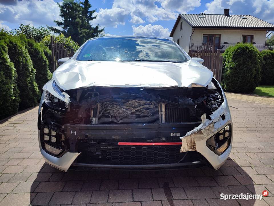 Kia ProCeed GT Line 16 TGDI 204 Panorama Skóra skórzana tapicerka wielkopolskie Turek