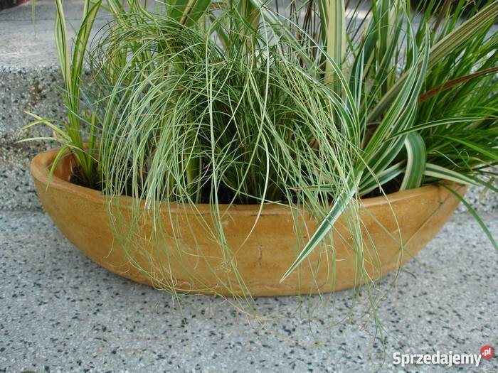 Sprzedam donice ceramiczne mrozoodporne Owal Pozostałe Jelenia Góra