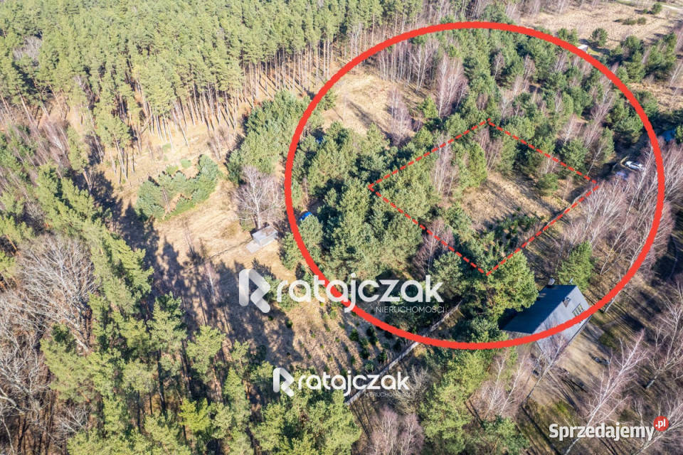 Grunt na sprzedaż 9751m2 Sasino Stara Cegielnia 2216m2 Sprzedaż sprzedam