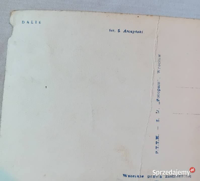 Pocztówka Dalie PTTK 1963 r Koźminek