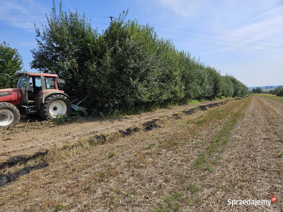 Mulczowanie działek w Włodowice wgłębne prace ogrodowe