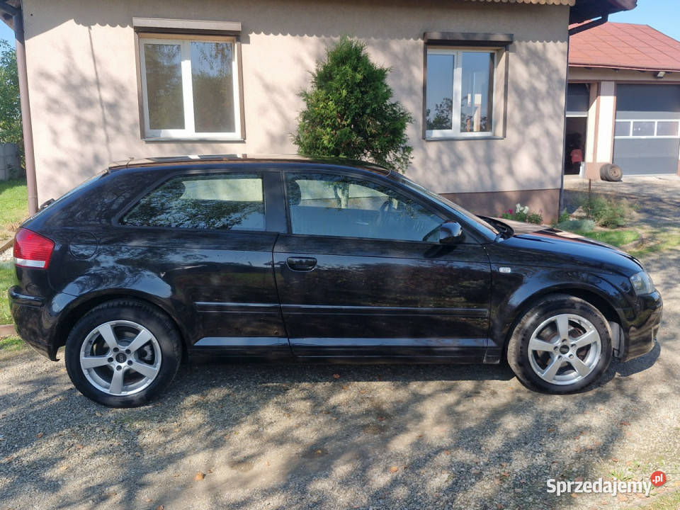 Audi A3 3drzwiowe 16 102 BENZ alu klimatronik Rymanów
