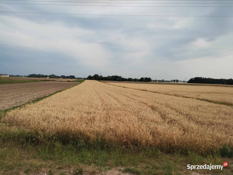 Żwirownia 15 ha w jednym kawałku ziemia z mazowieckie Komsin