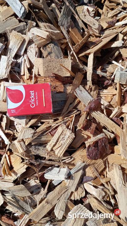 ZRĘBKA ogrodowapod rośliny Kora kujawsko-pomorskie Kałdus