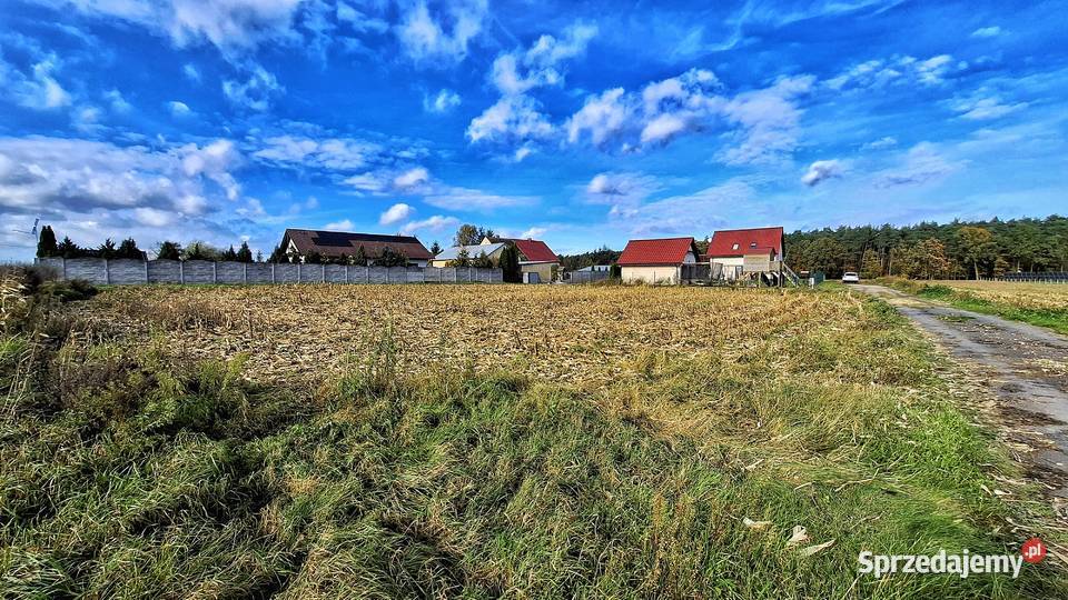 Działka w spokojnej zielonej okolicy Sprzedaż Wąsowo