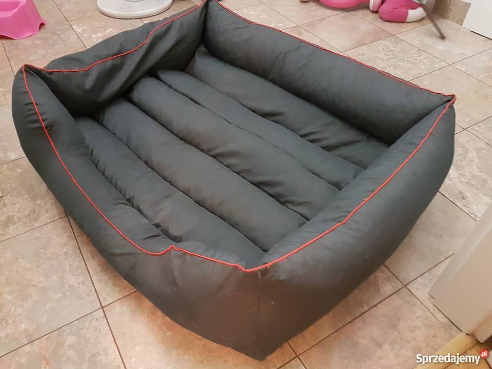 Legowisko psa L Warszawa