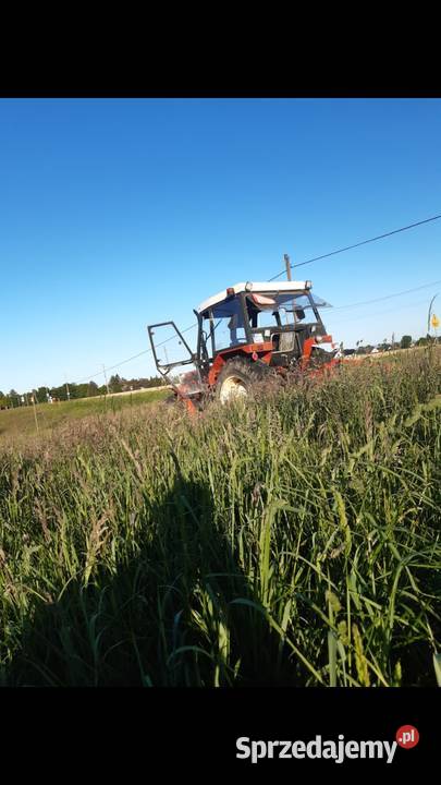 Świeże pachnące siano kostka Trawy, słoma śląskie Kończyce Małe
