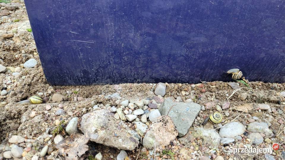 Drzwi Daewoo Lanos osobowe mazowieckie