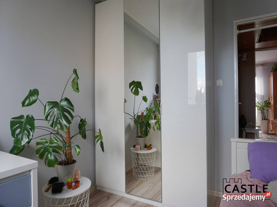 rynku i przedszkola I pierwsze M I samo centrum Malbork