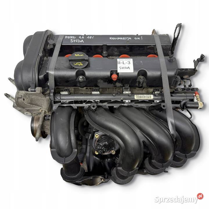 SILNIK SHDA SHDB Ford Focus II MK2 C C 16 16V osobowe Silniki kompletne