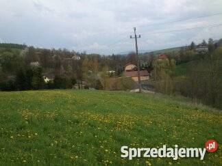 Sprzedam działkę budowlaną w Lipnicy Wielkiej Korzenna