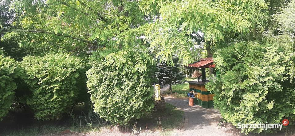 Działki 1000m2 z domkiem 65m2 w Tuszynie