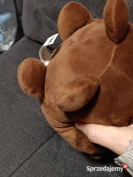 pluszowa maskotka Bóbr Borys z akcji Maskotki wielkopolskie Poznań