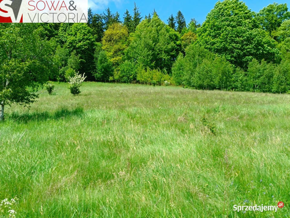 Działka budowlana 3 Wałbrzycha Promocja Jedlina-Zdrój