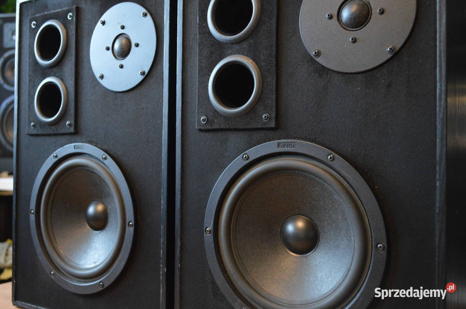 Udany DIY Projekt CantonTonsil Kolumny 2drożne Audio Haczów
