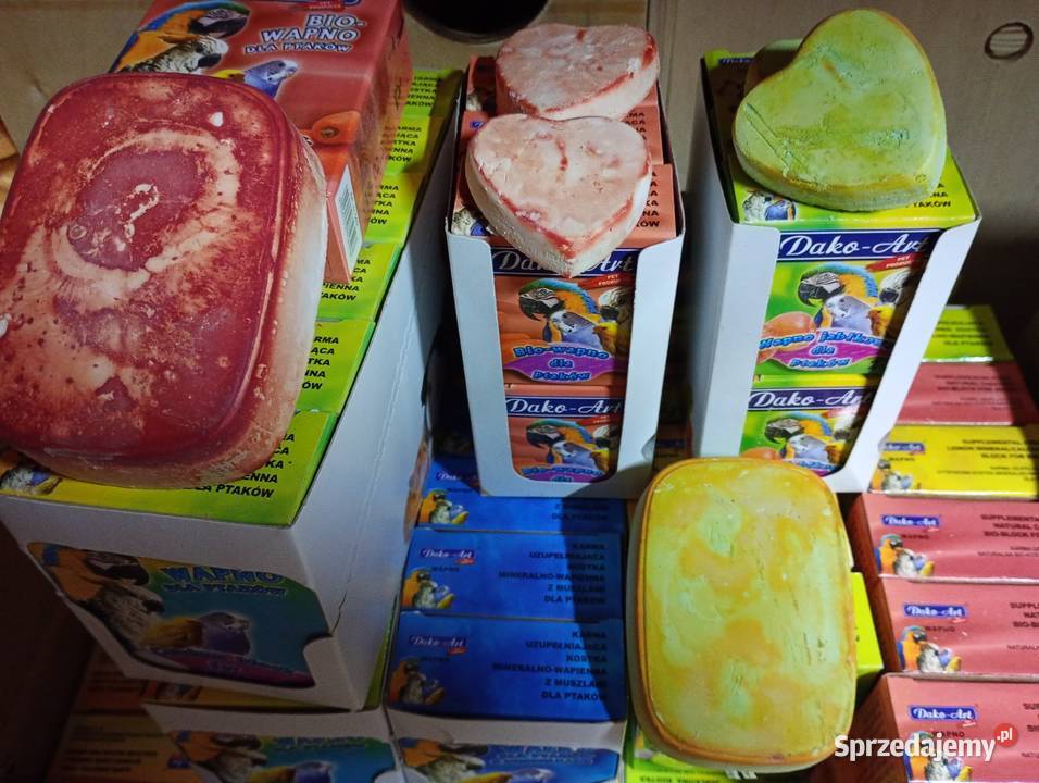 Wapienko papug Kamień Górowski