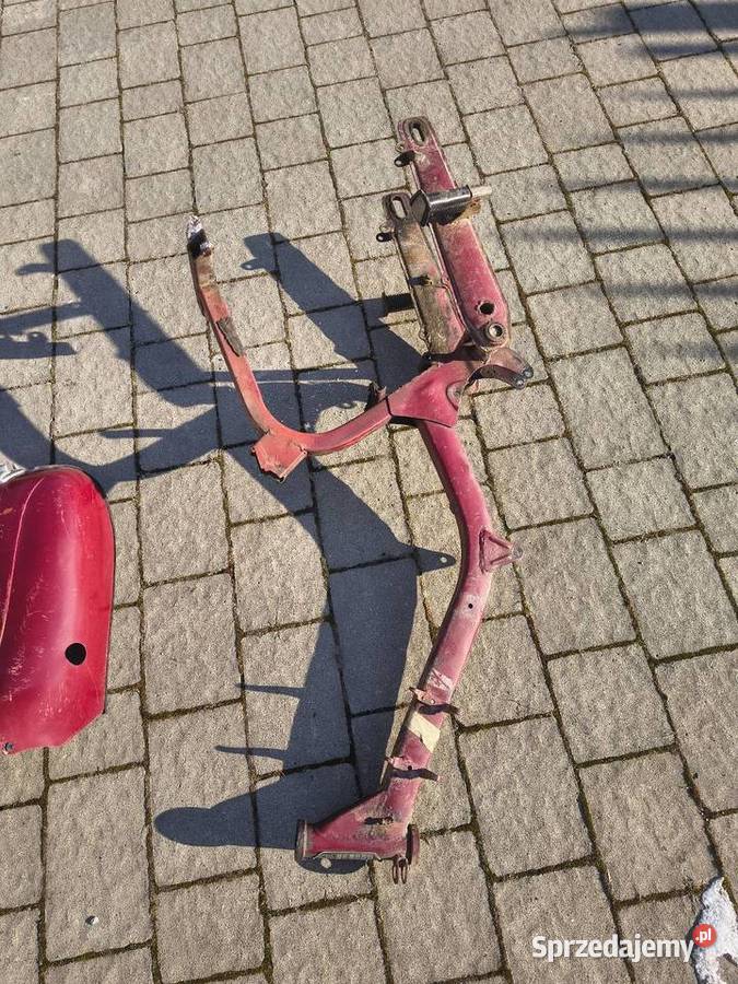 Jawa kaczka pancerka podkarpackie