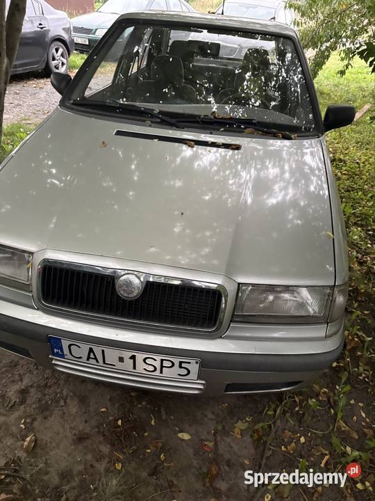 Skoda Felicja Waganiec