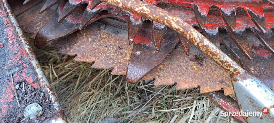 Sieczkarnia Kemper champion 3000 Do sieczkarni