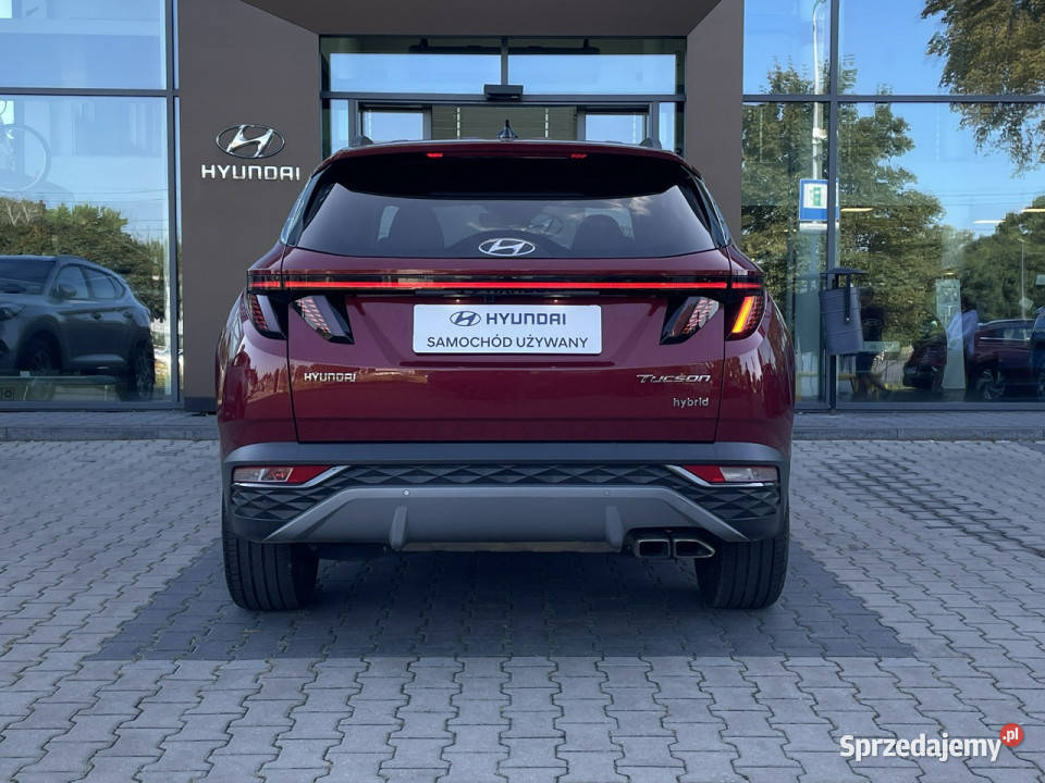 Hyundai Tucson 16TGDI HEV Platinum 230 4WD Salon napęd 4x4 Piotrków Trybunalski