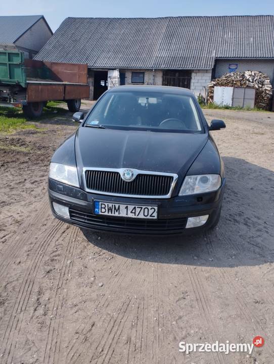 Skoda Octawia Elegance 2007 Kropiewnica-Gajki