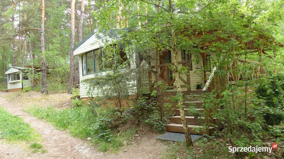Domki Wartą do wynajęcia Wieluń