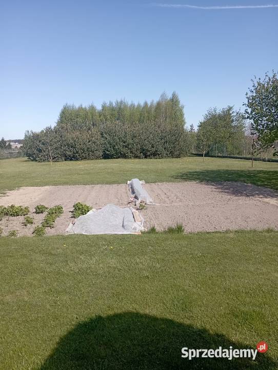 Sprzedam dom w Czarnożyłach Czarnożyły sprzedam