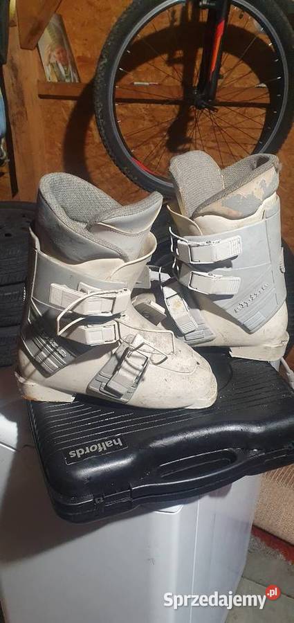 Buty narciarskie ALPINA Cisiec