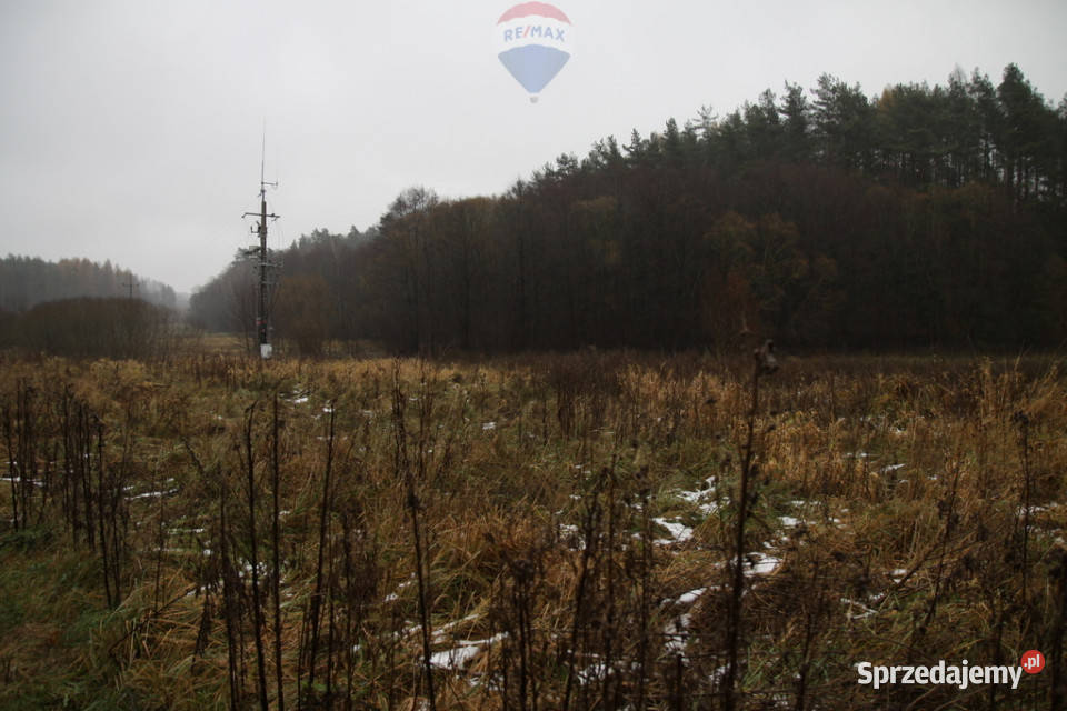 Działki budowlane w DrzewiniegmTrąbki Wielkie Drzewina