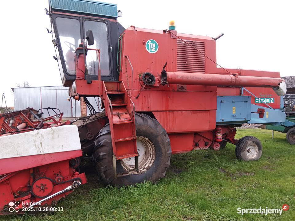 Bizon z056 Stary Dzierzgoń