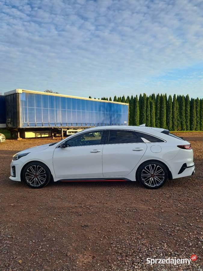Kia ProCeed 16 TGDI 204 Siedlce