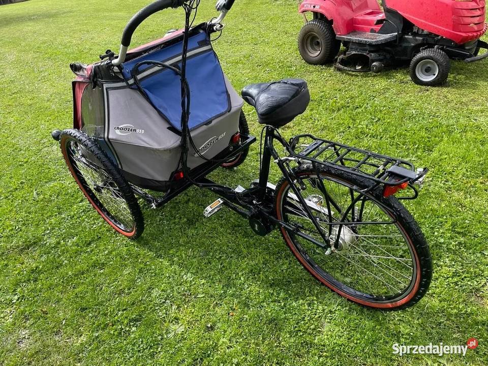 Rower elektryczny e bike towarowy ebike do Rowery elektryczne Głogów