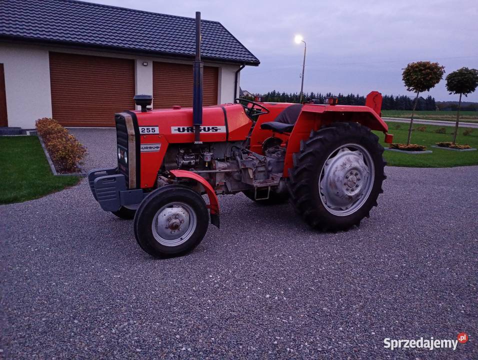 Massey Ferguson MF 255 Ursus Łęczna