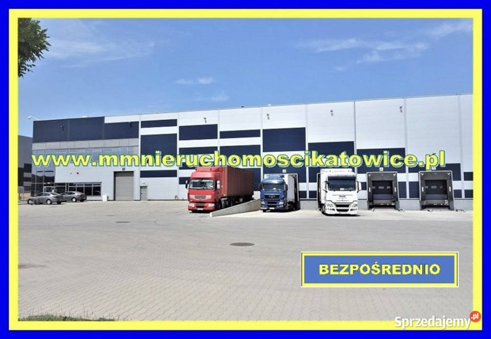 Lokal 700m2 Siemianowice Śląskie winda Wynajem