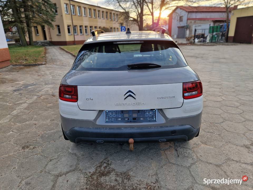 Citroen C4 Cactus bluetooth C4 Cactus Złocieniec