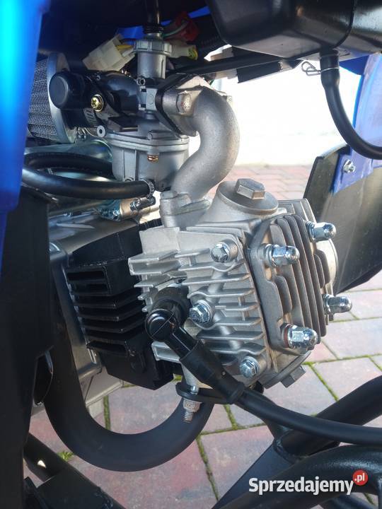 Quad 125 2024 Radziejów