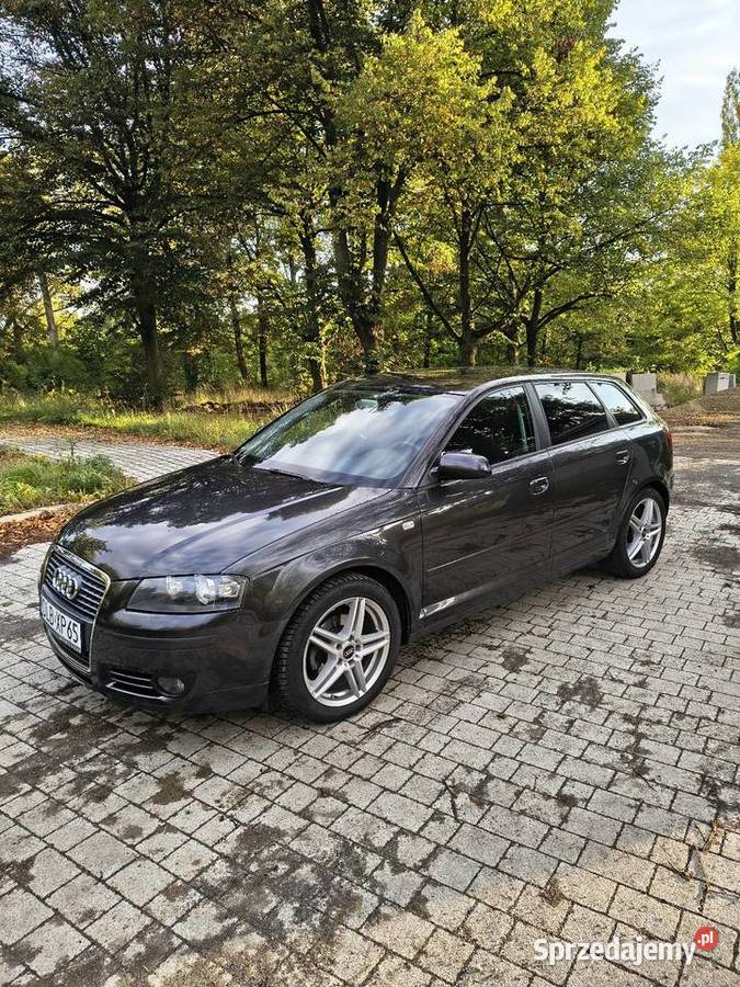 Audi A3 8P Sportback 16MPI 102 Ambietne dolnośląskie