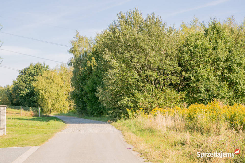 Działka widokowa Łysa Góra gm Dębno Sprzedaż