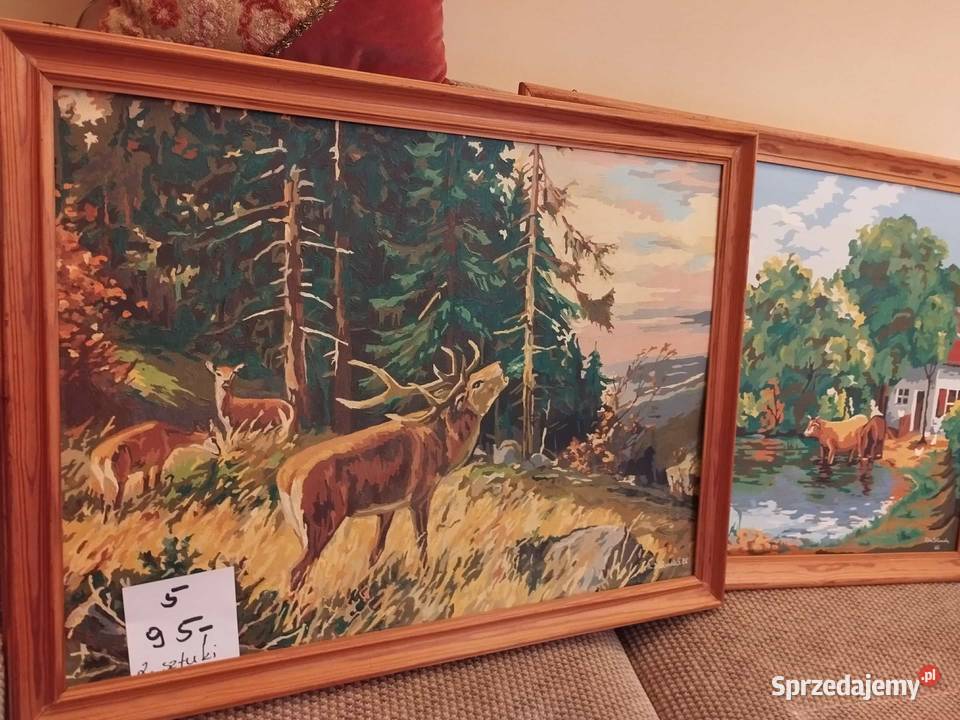 obraz obrazy obrazek spore wyprzedaż Gorzów Wielkopolski