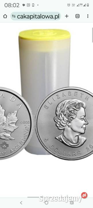 Srebrna moneta liść klonu pakowane w tubach Lublin