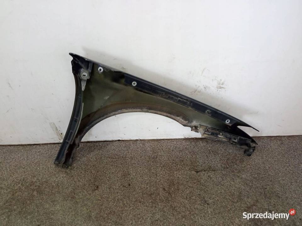 BŁOTNIK LEWY PRZÓD TEB66 Renault Laguna III 2007 świętokrzyskie sprzedam