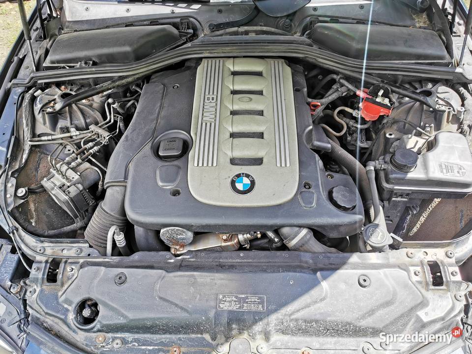 BMW E60 525d anglik Lubartów