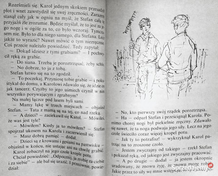 Przyjaźń Marcin Kozera Wilczęta z czarnego Chełm