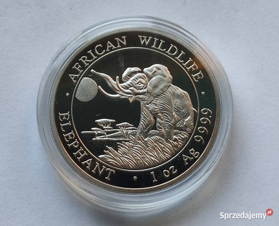 MONETA SOMALIA 100 SHILLINGS 2020 SŁOŃ mazowieckie Pruszków