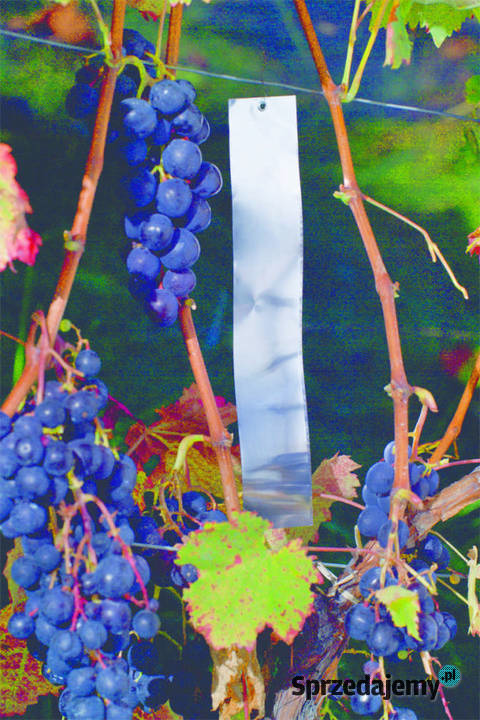 Siatka ochronna 100x250mb pko ptakom Lwówek Śląski