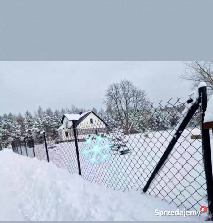 Dom siedlisko posiadłość 8100m2 Kolonia Piaski