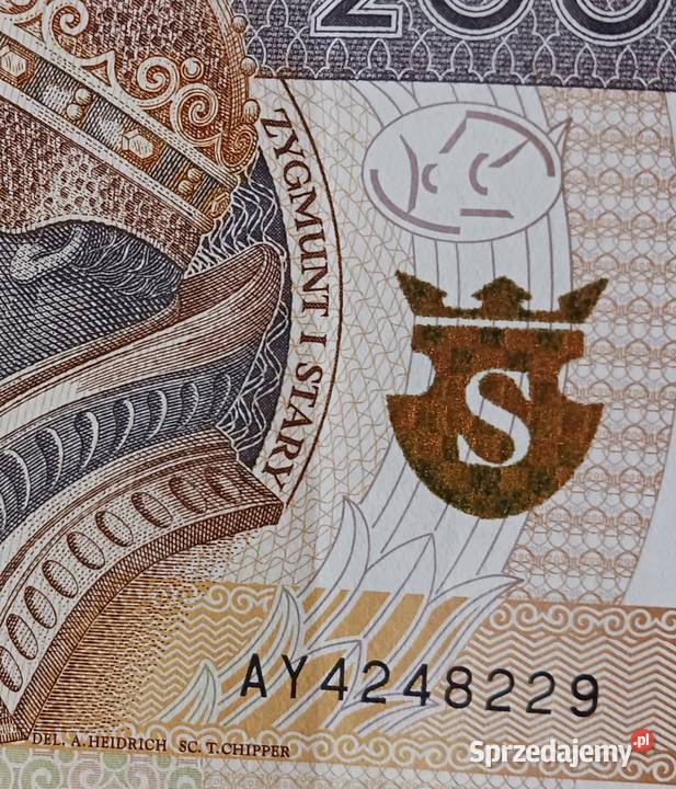 200 Zygmunt I Stary 30III2015 r A Y4248229 Konin