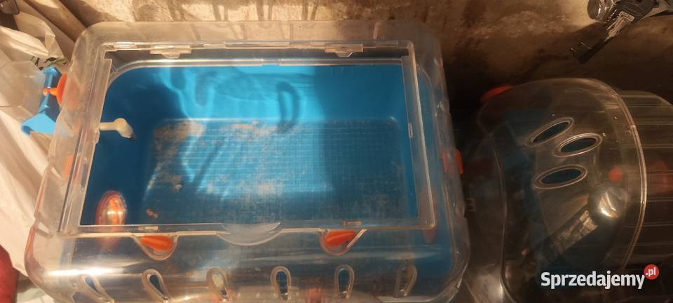 Klatka gryzonia super wypas dolnośląskie Świdnica