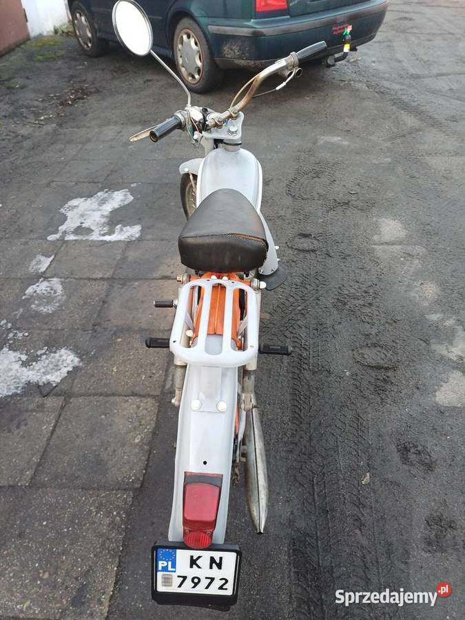 Komar zarejestrowany Kożuchów