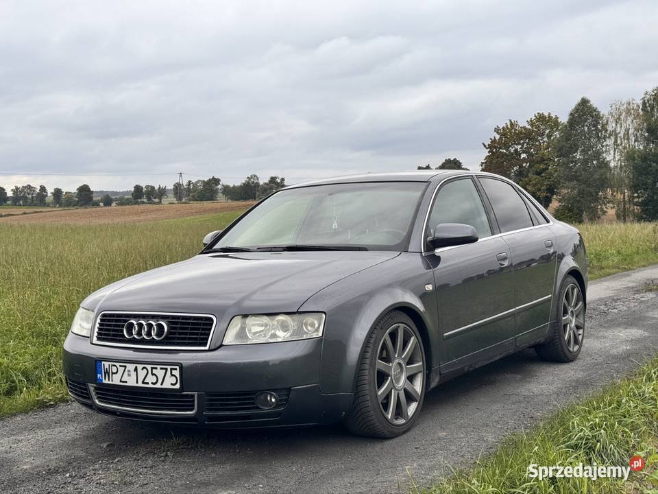 Audi A4B6 19 TDI Pelplin